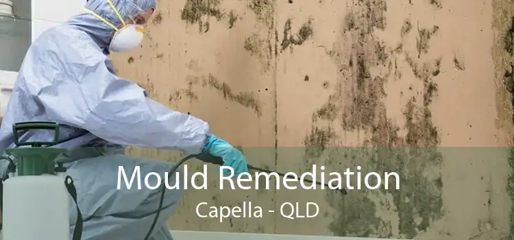 Mould Remediation Capella - QLD