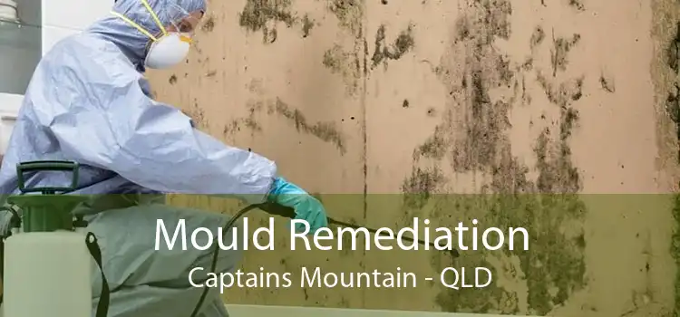 Mould Remediation Captains Mountain - QLD