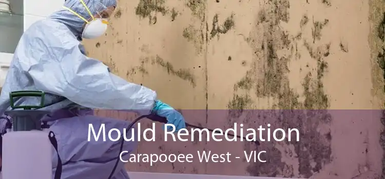 Mould Remediation Carapooee West - VIC