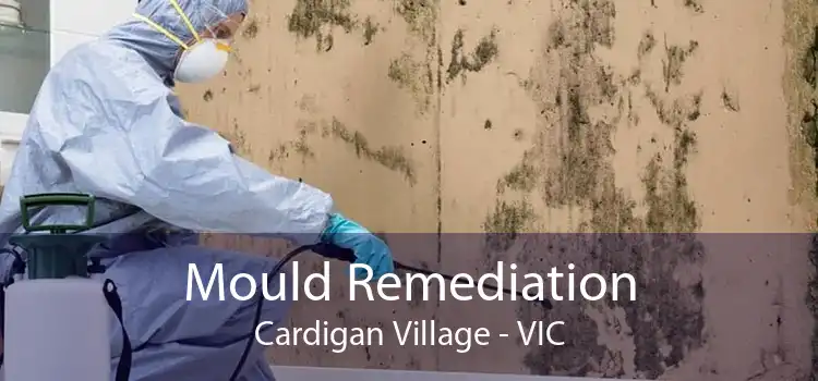 Mould Remediation Cardigan Village - VIC