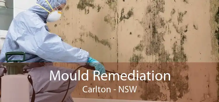 Mould Remediation Carlton - NSW