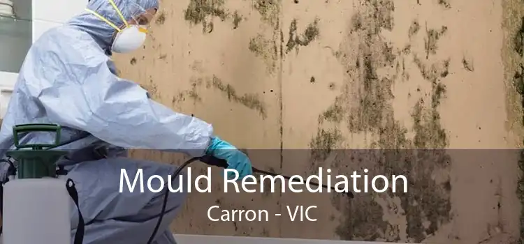 Mould Remediation Carron - VIC