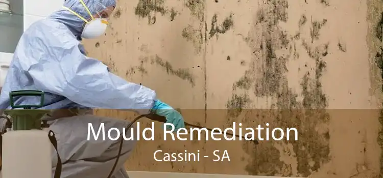 Mould Remediation Cassini - SA