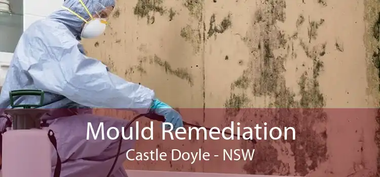 Mould Remediation Castle Doyle - NSW