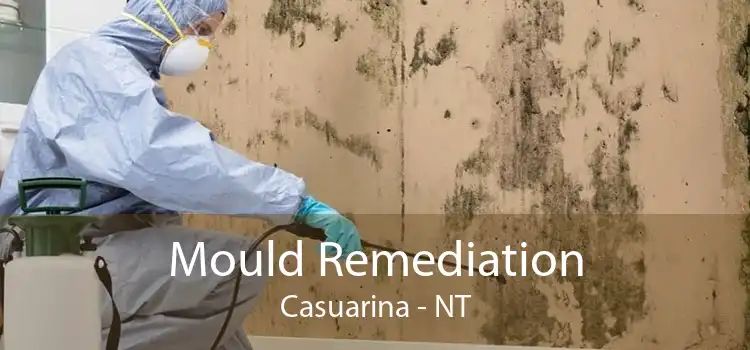 Mould Remediation Casuarina - NT