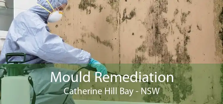 Mould Remediation Catherine Hill Bay - NSW