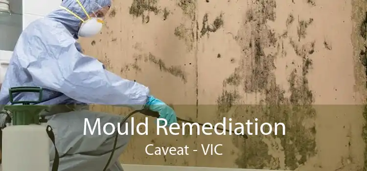 Mould Remediation Caveat - VIC