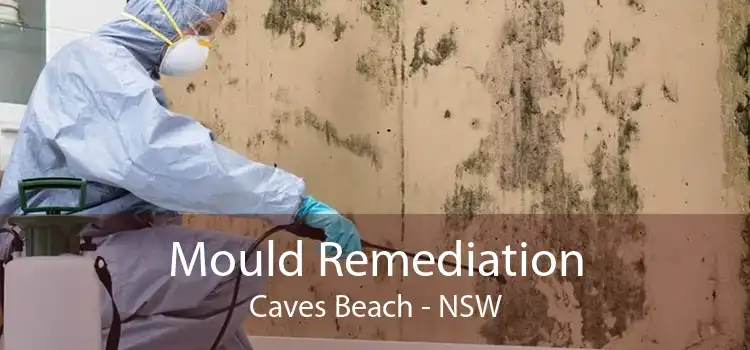 Mould Remediation Caves Beach - NSW