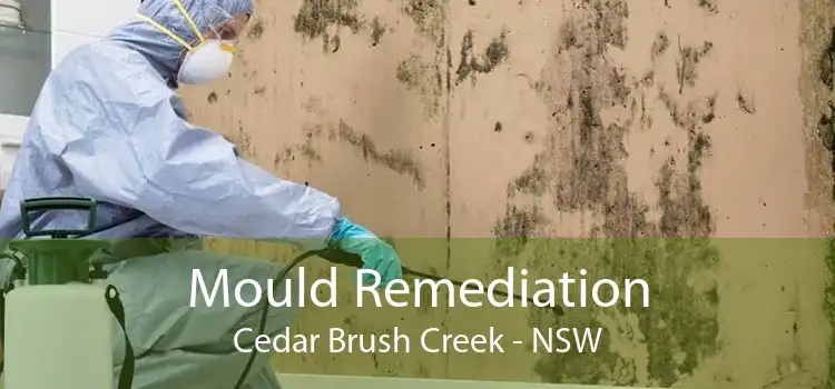 Mould Remediation Cedar Brush Creek - NSW