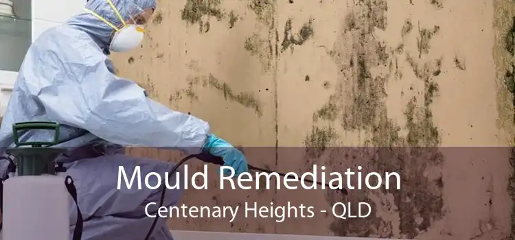 Mould Remediation Centenary Heights - QLD