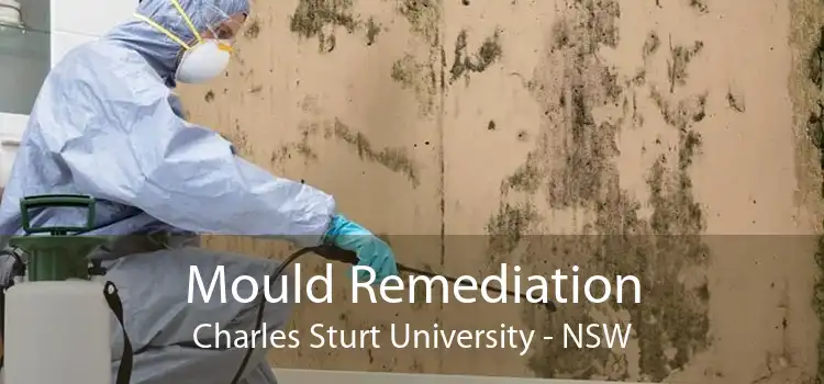 Mould Remediation Charles Sturt University - NSW