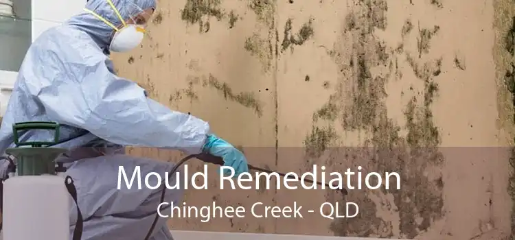 Mould Remediation Chinghee Creek - QLD