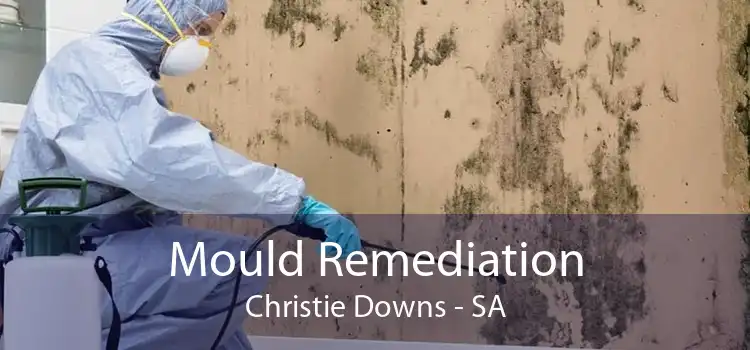 Mould Remediation Christie Downs - SA