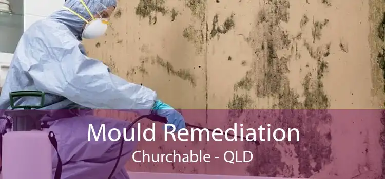 Mould Remediation Churchable - QLD