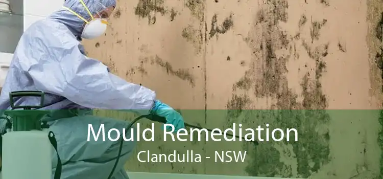 Mould Remediation Clandulla - NSW