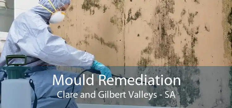 Mould Remediation Clare and Gilbert Valleys - SA