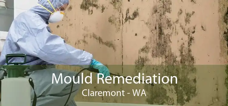Mould Remediation Claremont - WA