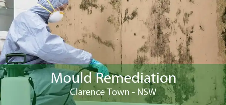 Mould Remediation Clarence Town - NSW