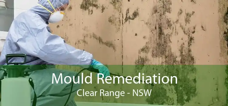 Mould Remediation Clear Range - NSW