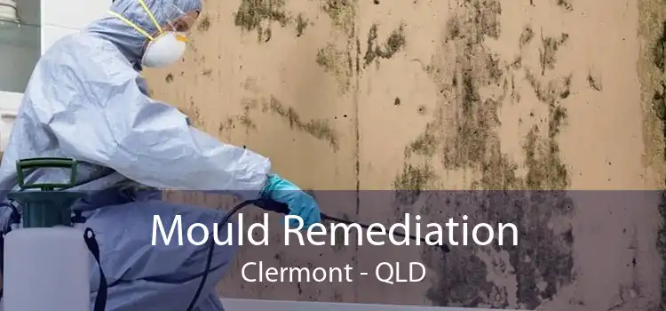 Mould Remediation Clermont - QLD