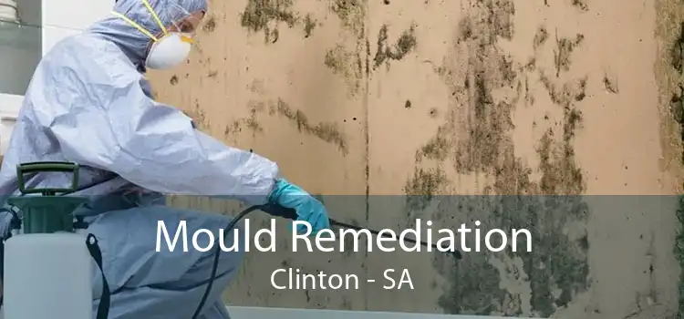 Mould Remediation Clinton - SA