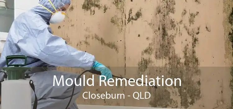 Mould Remediation Closeburn - QLD