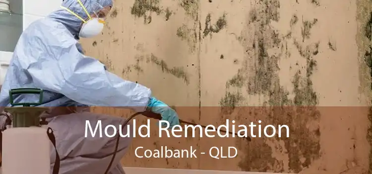 Mould Remediation Coalbank - QLD