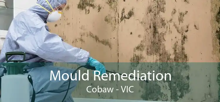 Mould Remediation Cobaw - VIC