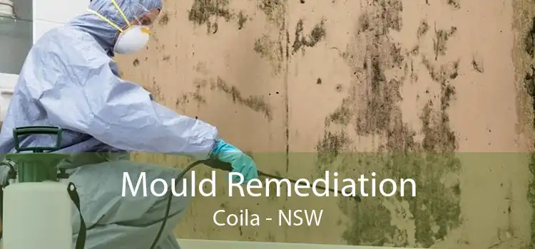 Mould Remediation Coila - NSW