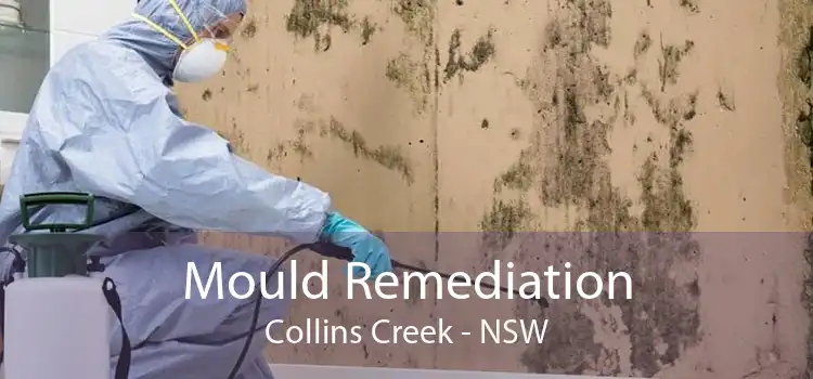 Mould Remediation Collins Creek - NSW