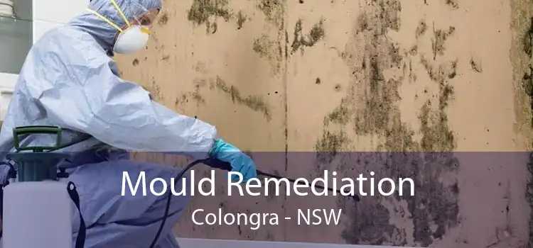 Mould Remediation Colongra - NSW