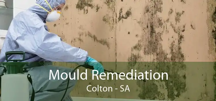 Mould Remediation Colton - SA
