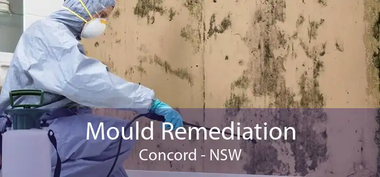 Mould Remediation Concord - NSW