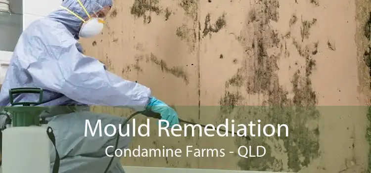 Mould Remediation Condamine Farms - QLD