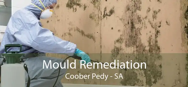 Mould Remediation Coober Pedy - SA