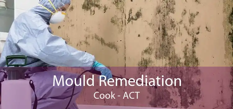 Mould Remediation Cook - ACT