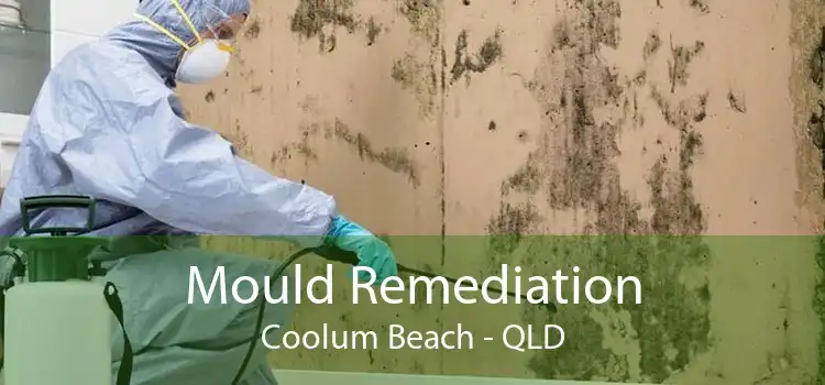 Mould Remediation Coolum Beach - QLD