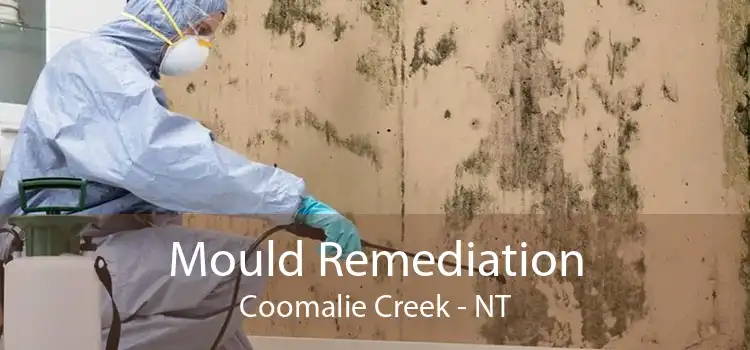 Mould Remediation Coomalie Creek - NT