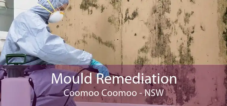 Mould Remediation Coomoo Coomoo - NSW