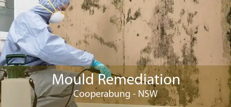 Mould Remediation Cooperabung - NSW