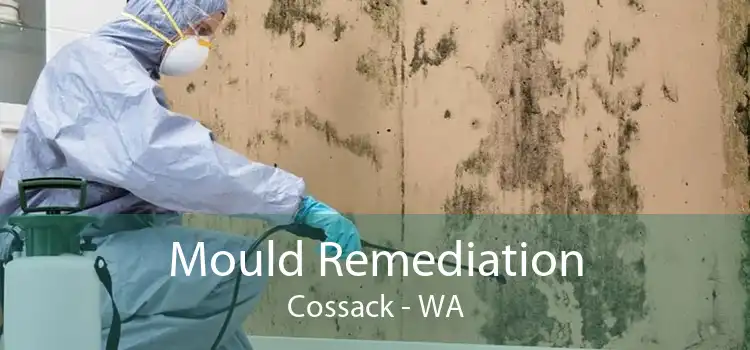 Mould Remediation Cossack - WA