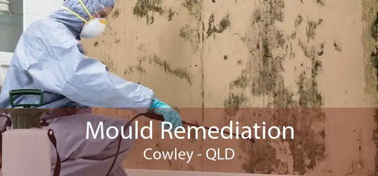 Mould Remediation Cowley - QLD