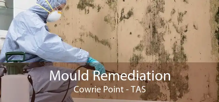 Mould Remediation Cowrie Point - TAS