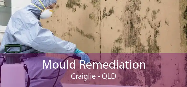 Mould Remediation Craiglie - QLD