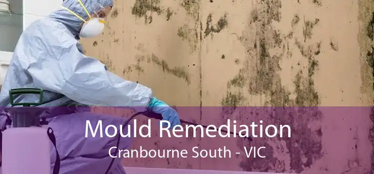 Mould Remediation Cranbourne South - VIC