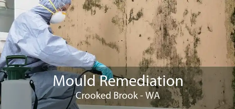 Mould Remediation Crooked Brook - WA