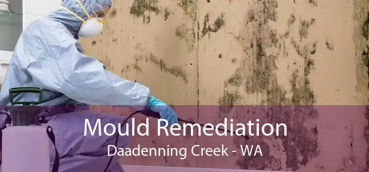 Mould Remediation Daadenning Creek - WA