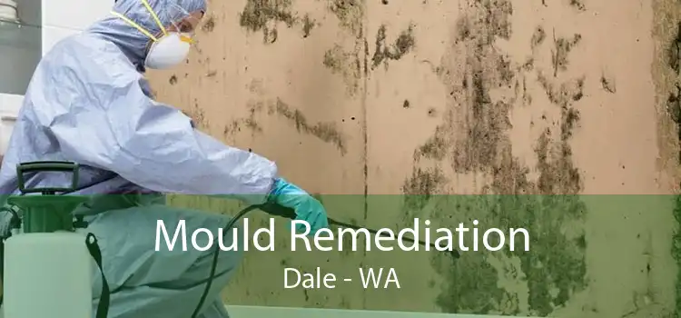 Mould Remediation Dale - WA