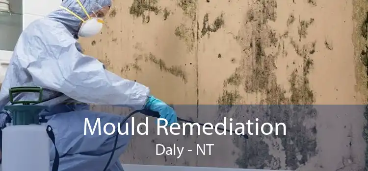 Mould Remediation Daly - NT