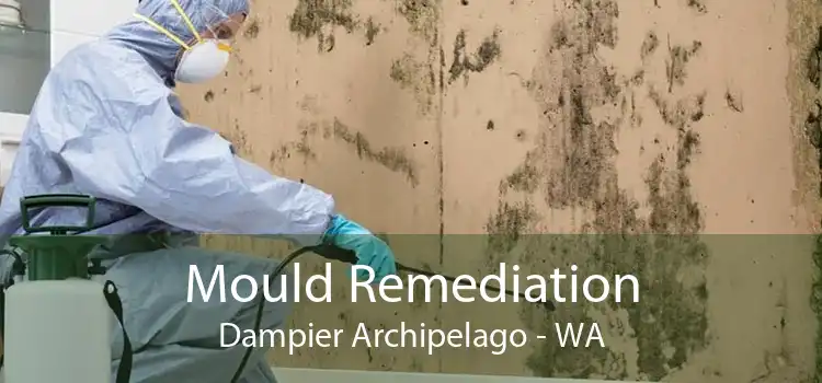 Mould Remediation Dampier Archipelago - WA